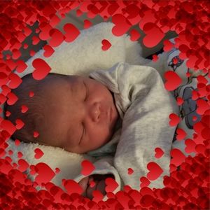 Meet your Posher, Terry